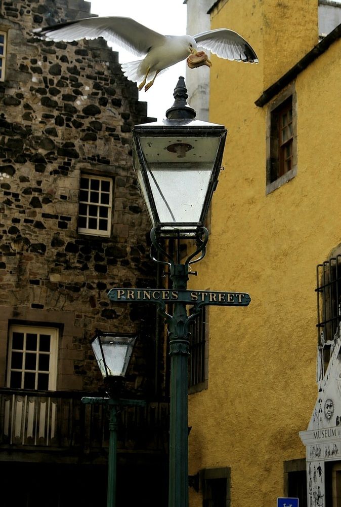 The Edinburgh Thief