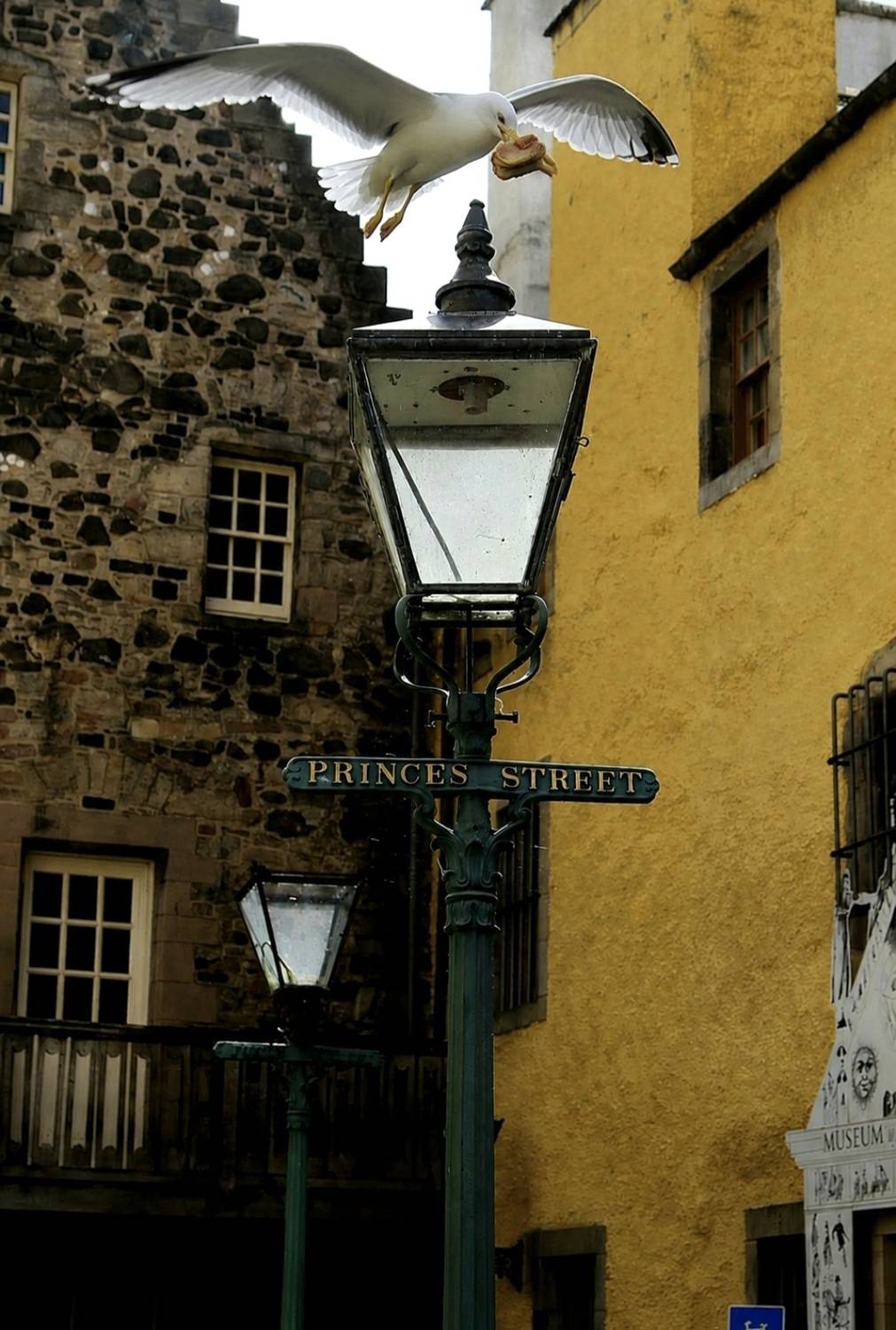 The Edinburgh Thief