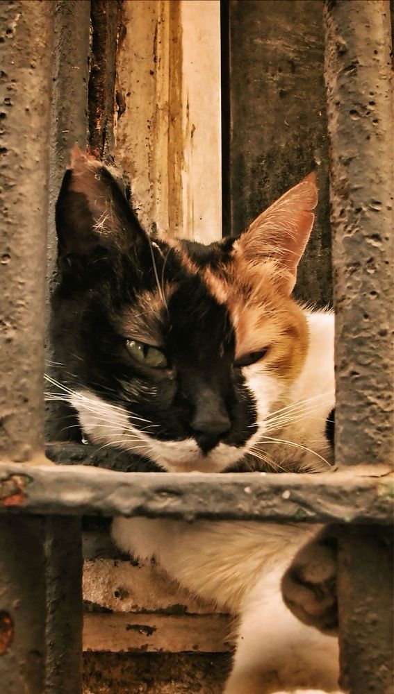 Framed by Time