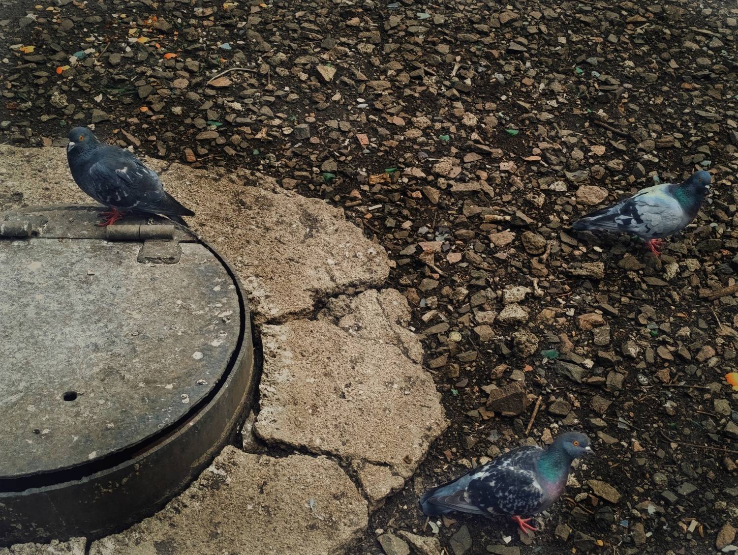 Photo #13699541