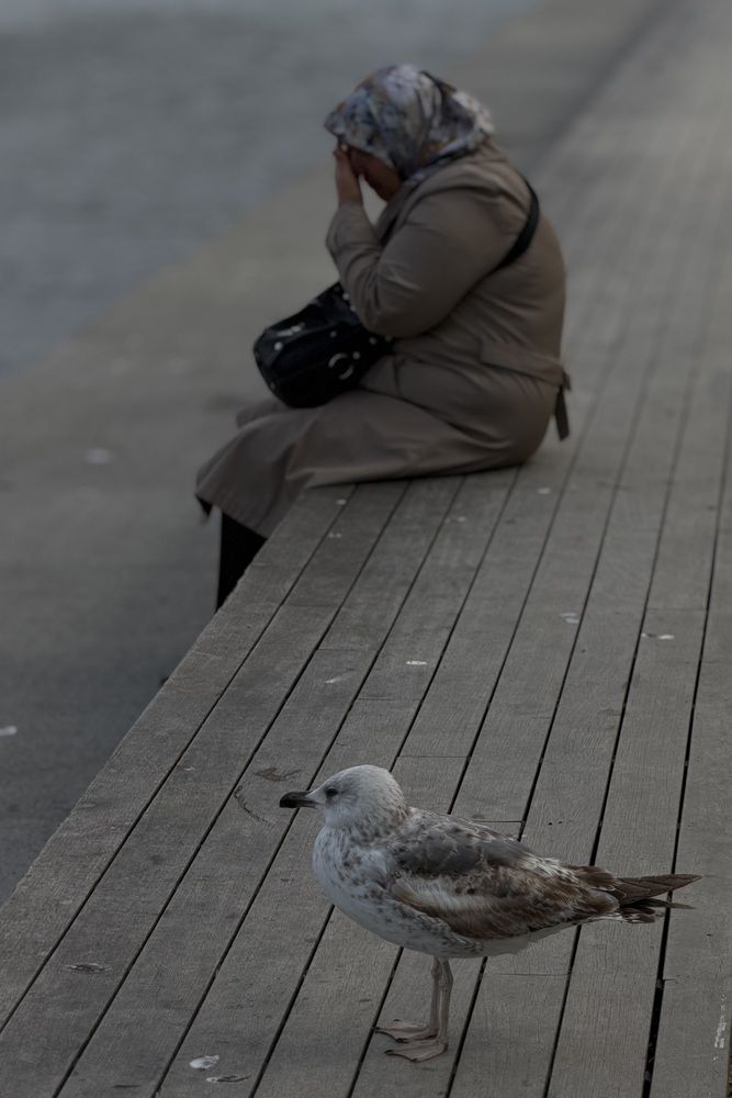 Photo #13699561