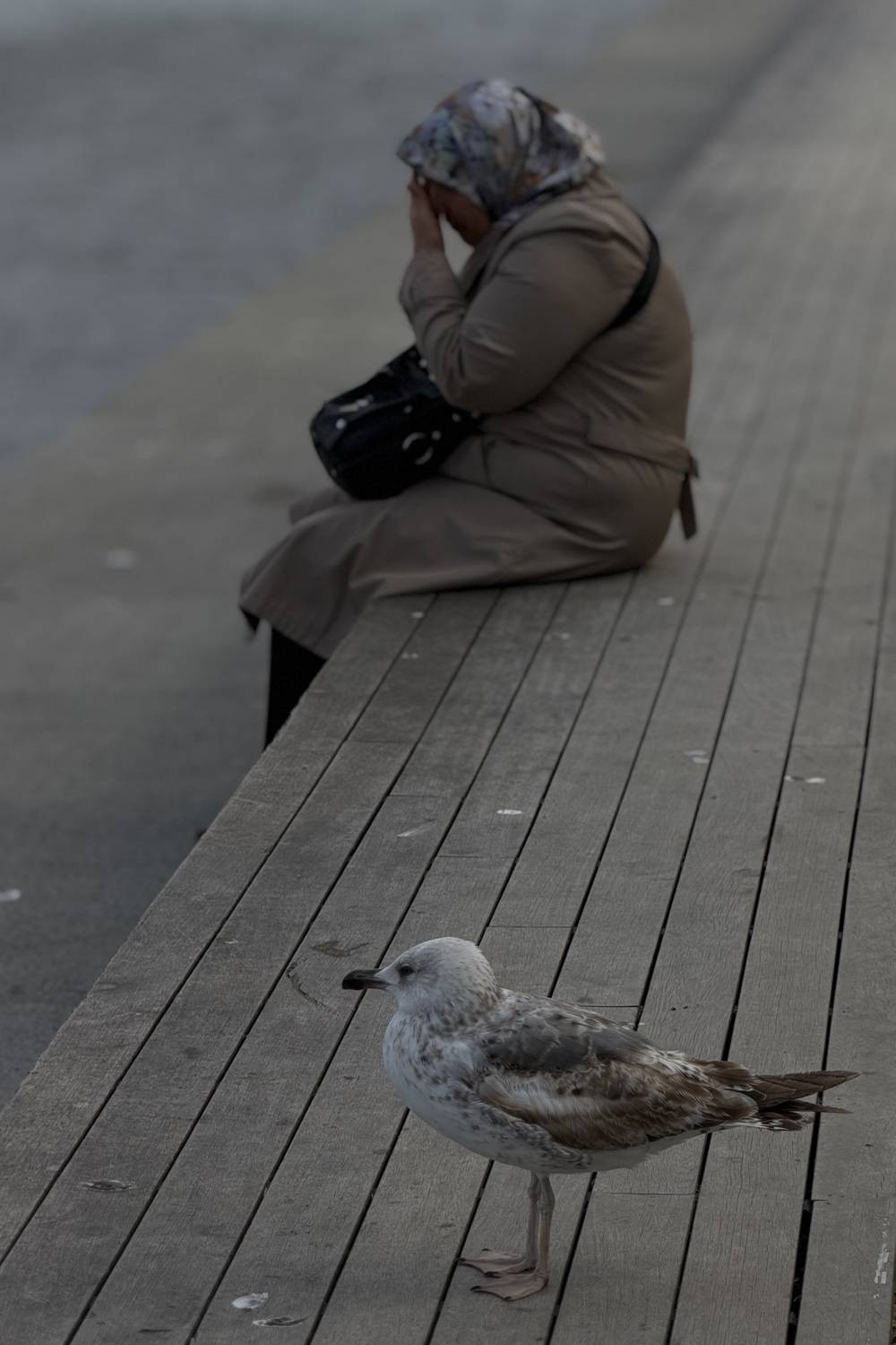 Photo #13699561