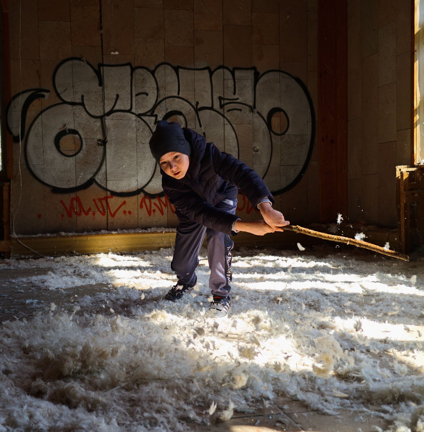 Photo #13699582