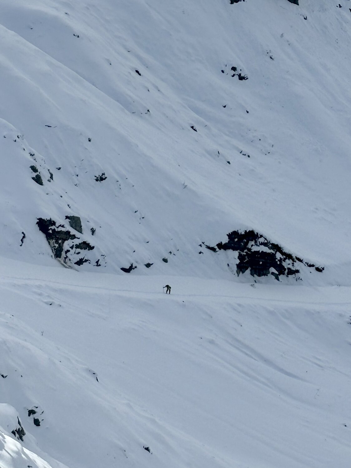 Photo #13699684