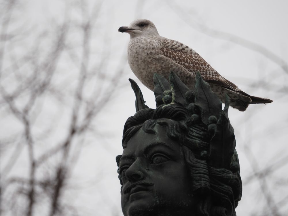 Photograph by Андрей Черненко