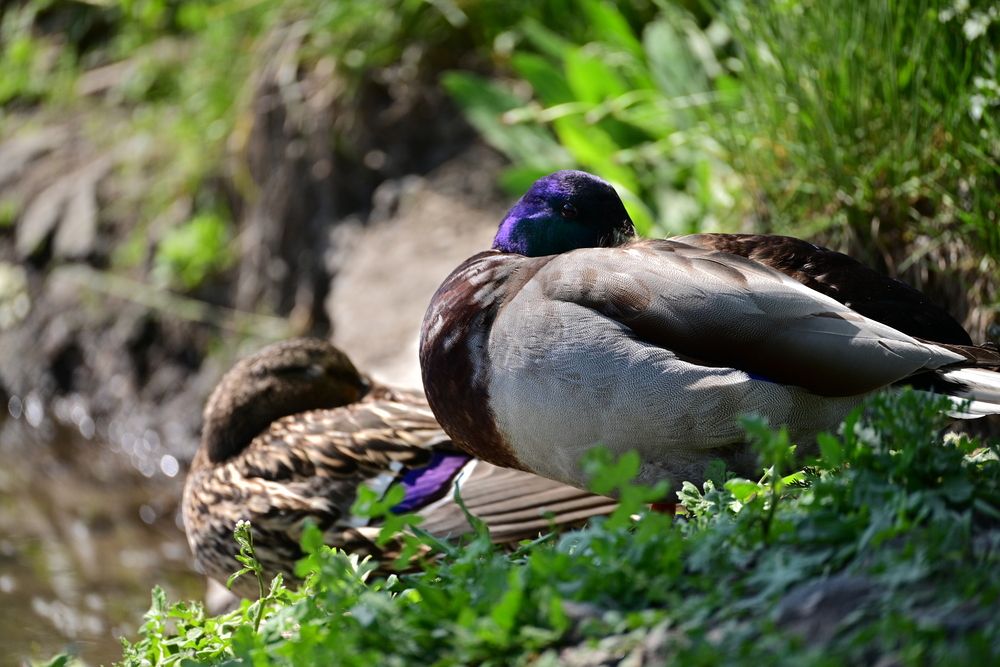 Photograph by Владислав Левашов