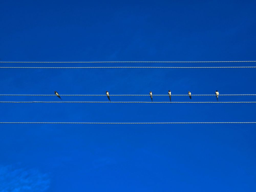 Photograph by Ольга Дёмина
