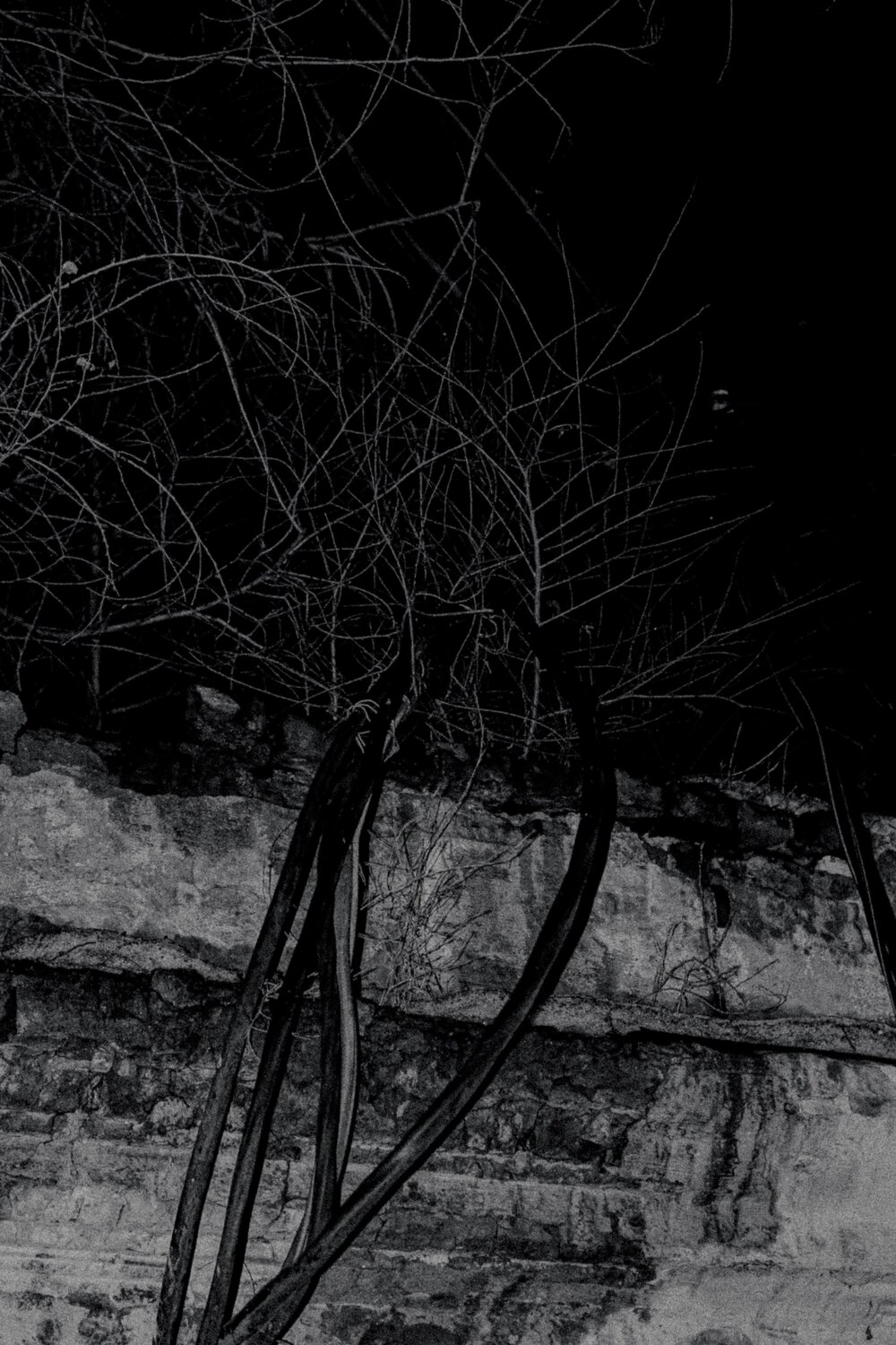 Photo #13699850