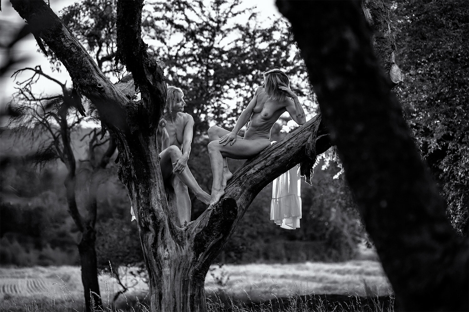 Photo #13699864
