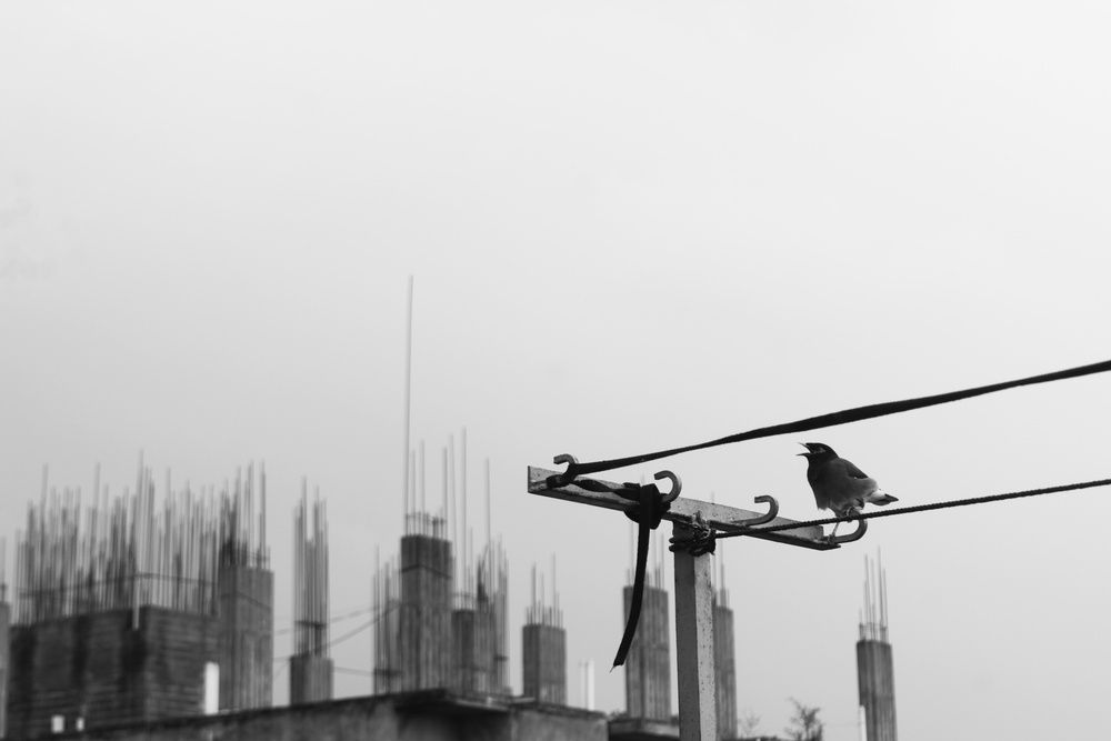 Photograph by Sheuli Akther