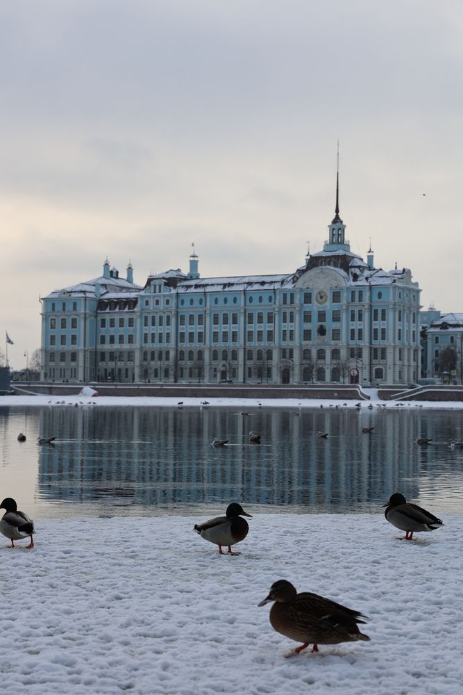 Photograph by Александр Сидоренко