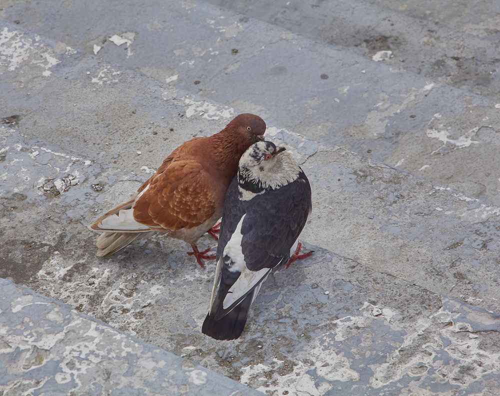 Photograph by Наталия Мащенко
