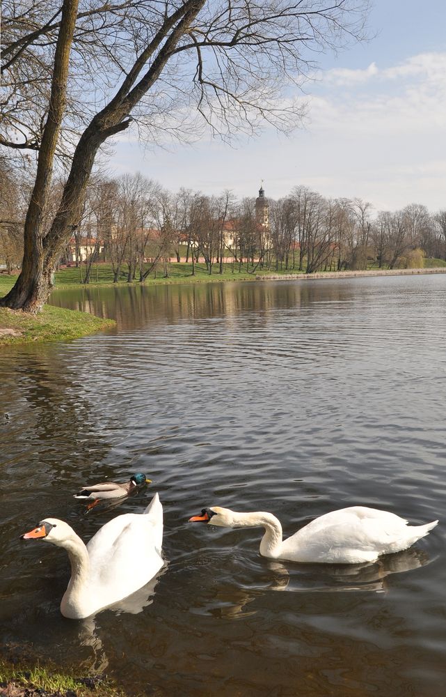 Photo #13699975