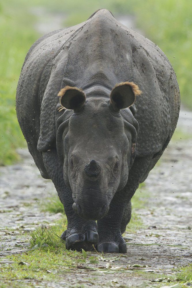 Face to face