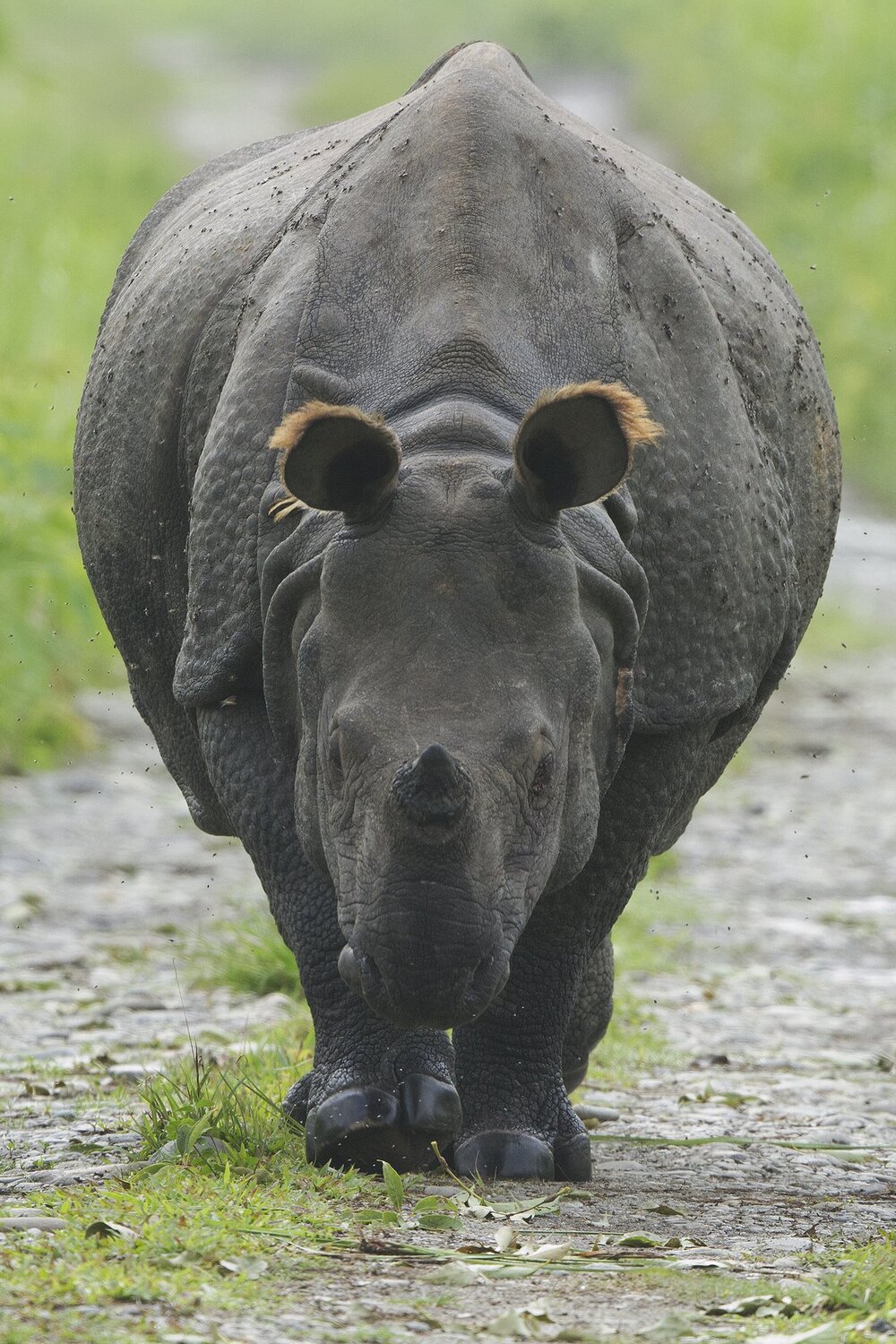 Face to face