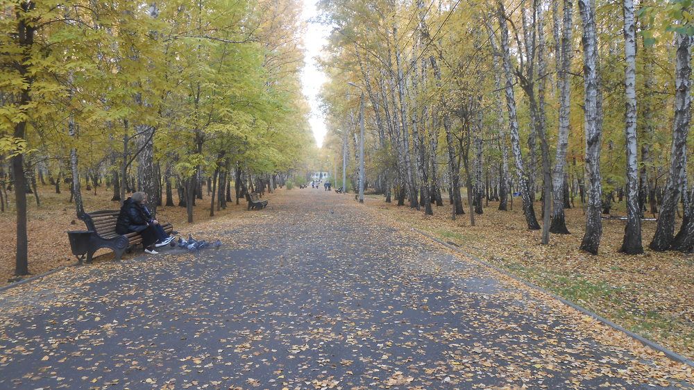 Осень в парке