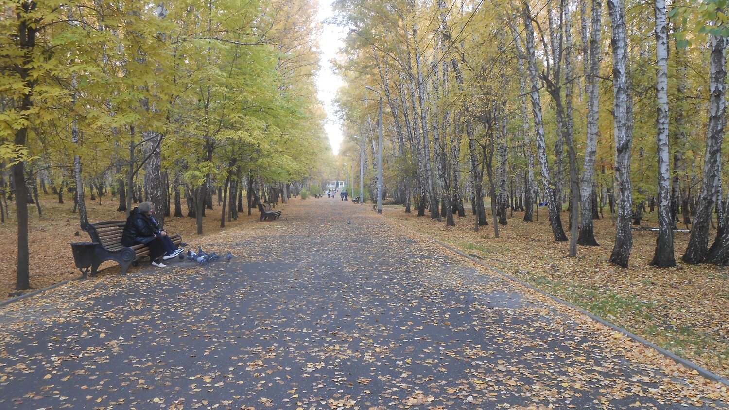 Осень в парке