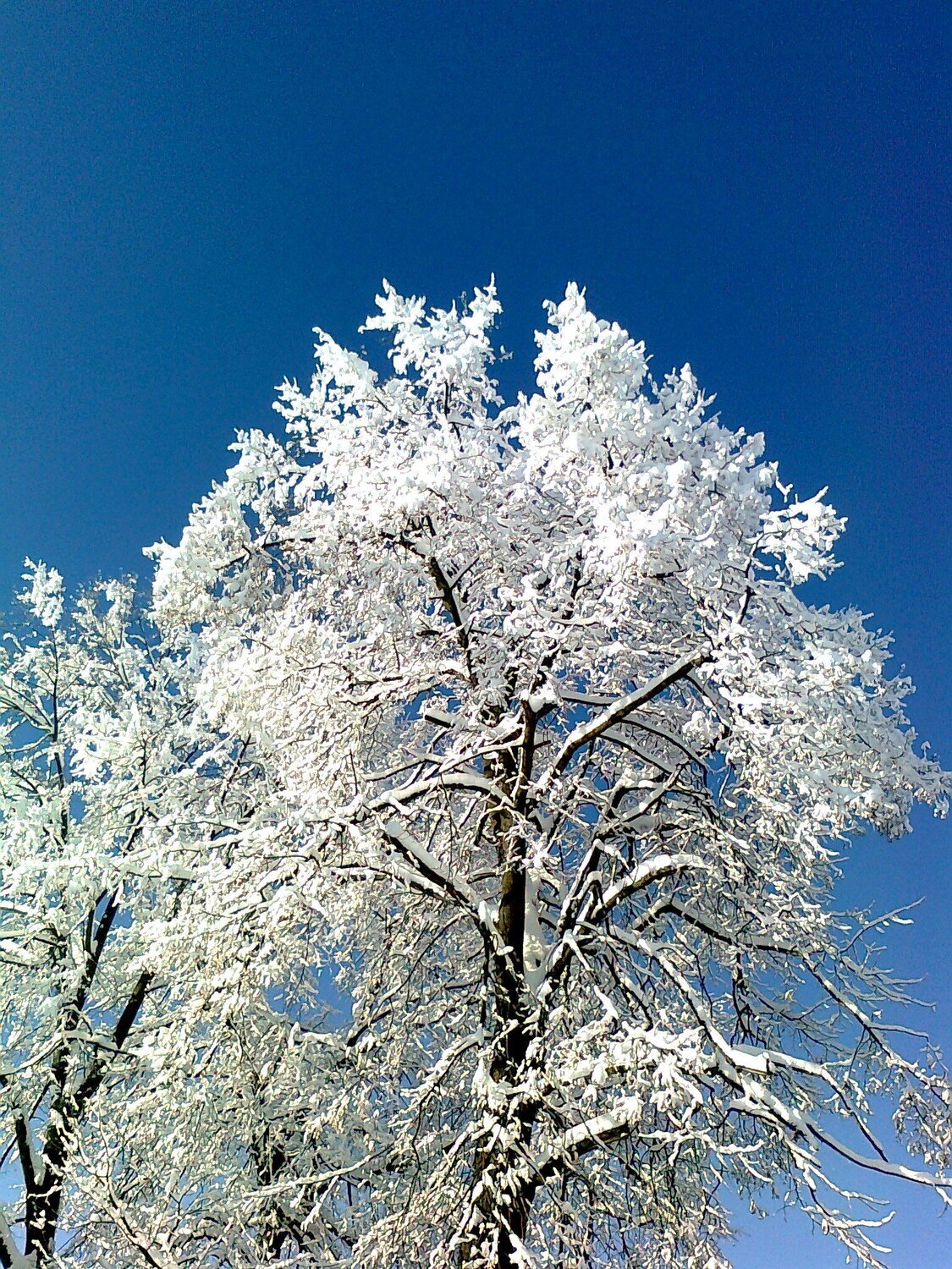 winter