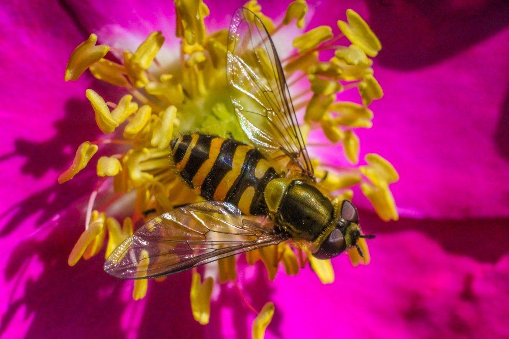 Первый завтрак после долгой зимы.