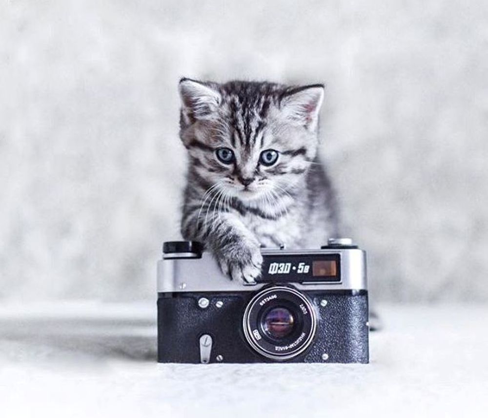 В три глаза