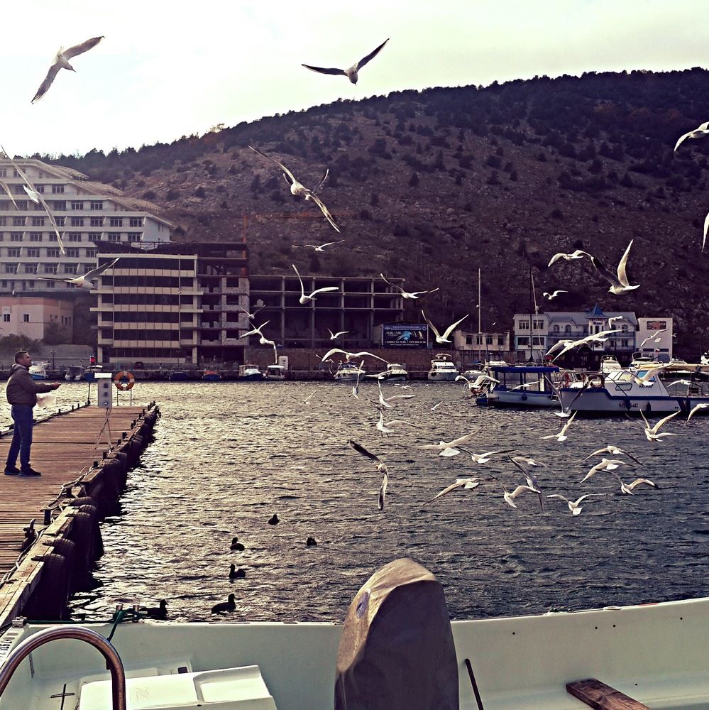 Человек и птицы