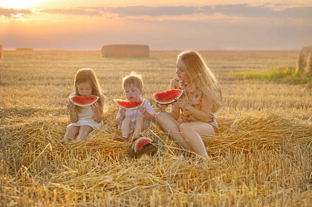 один день из солнца