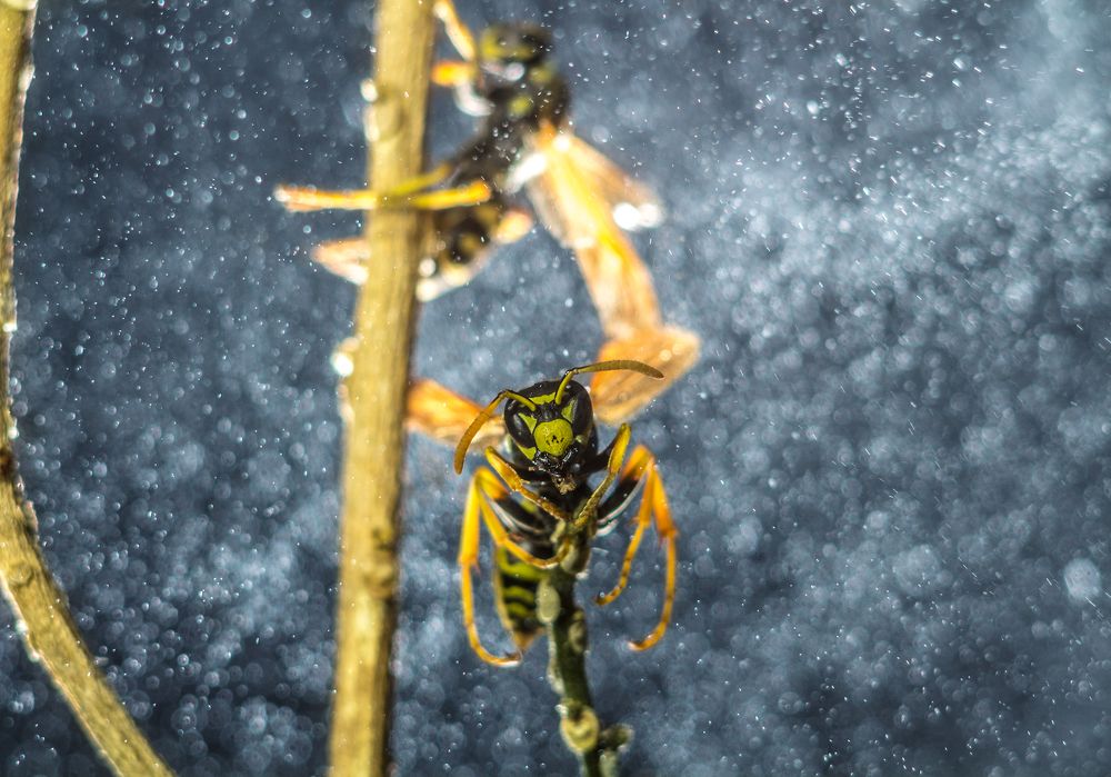 сказочное мгновение