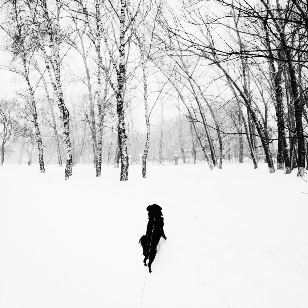 Зимнее одиночество