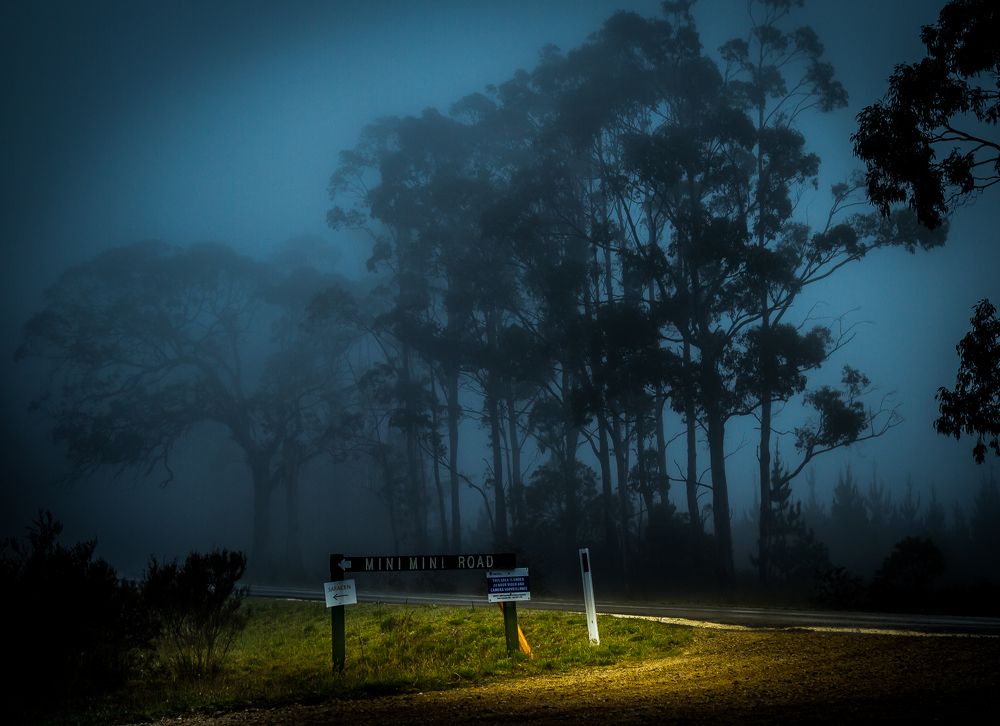В свете фар