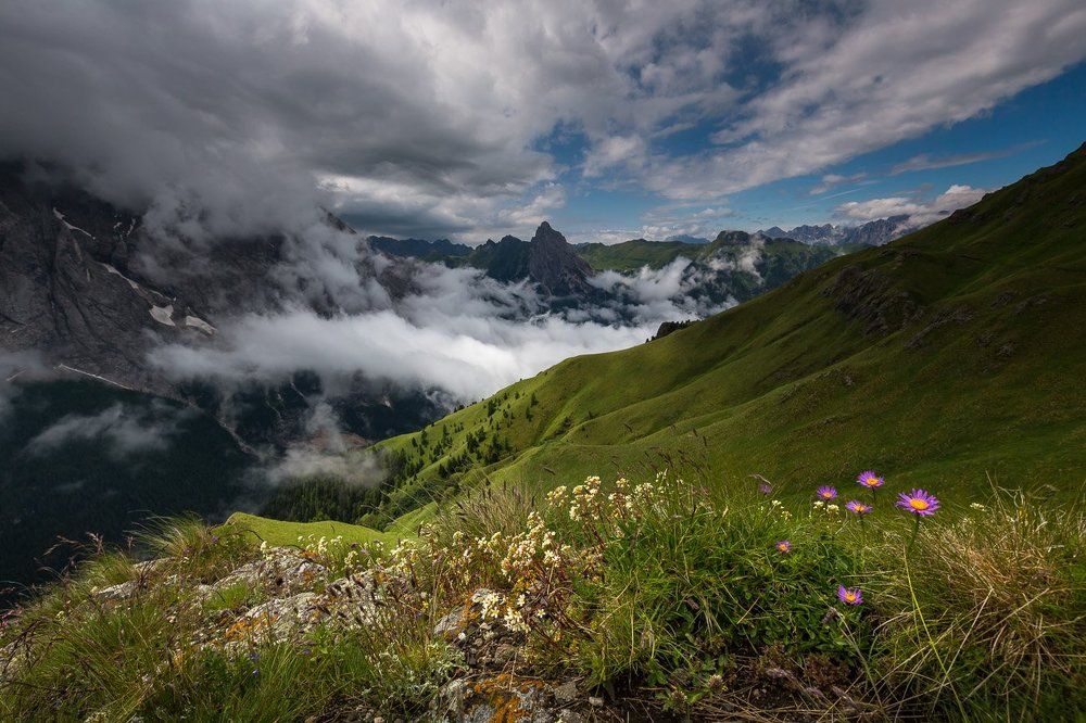 После дождя