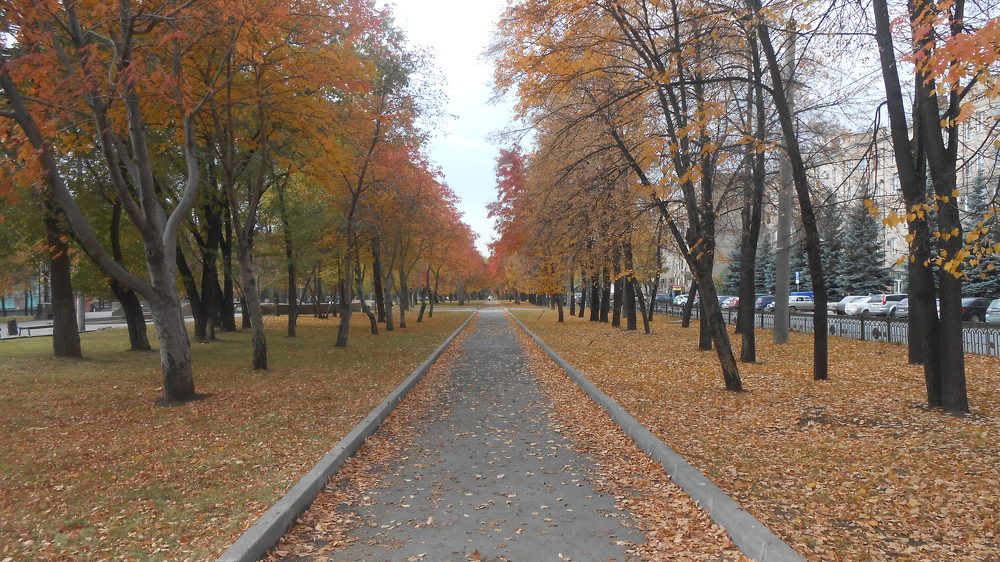 Сквер