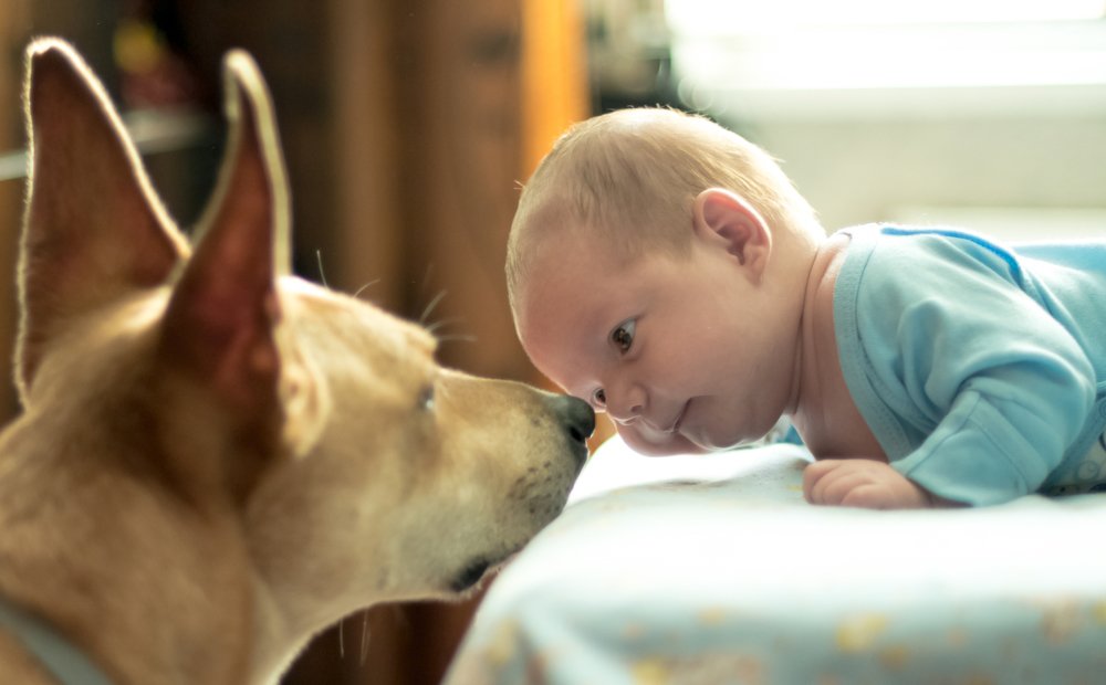 First Contact