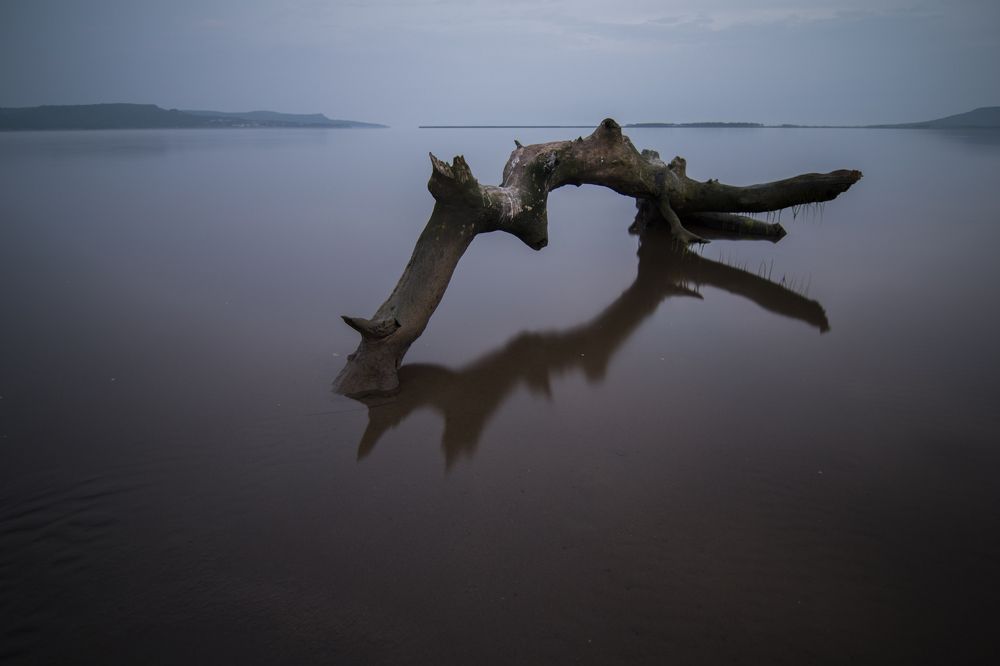 Photograph by Сигида Дмитрий