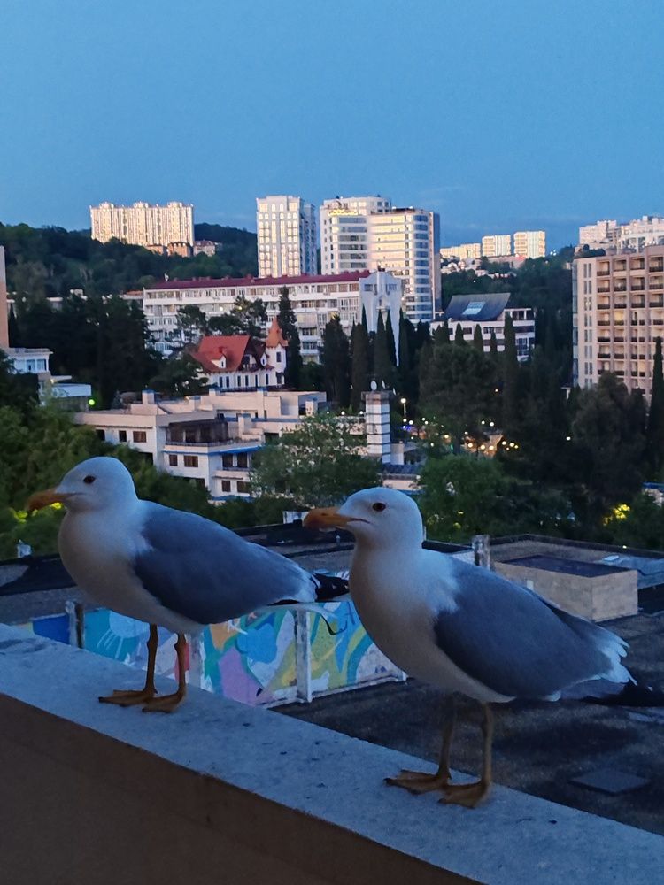 Photograph by Наталья Круглова