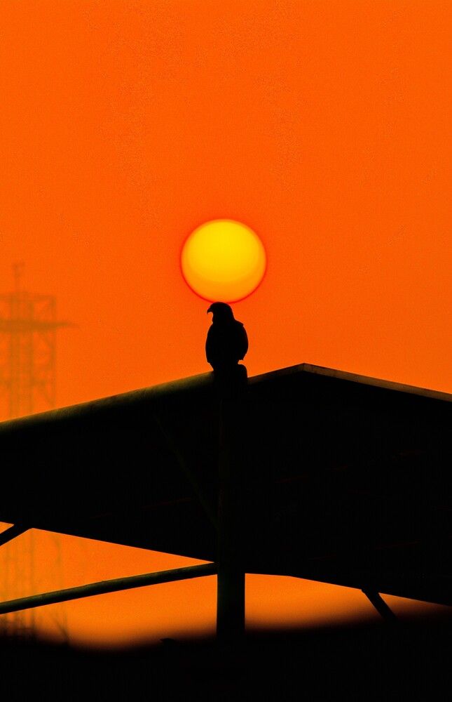 Photograph by Bilal Ahmad Khaki