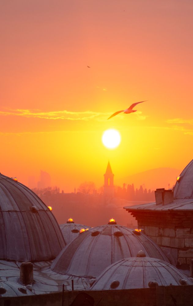 Photograph by Иван Кирсанов