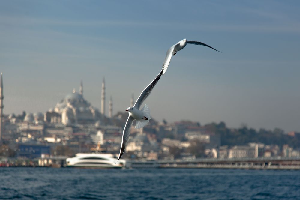 Photograph by Иван Кирсанов