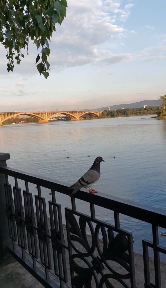 Photograph by Наталья Филянина