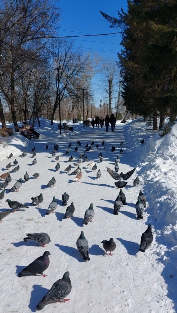 Photograph by Наталья Филянина