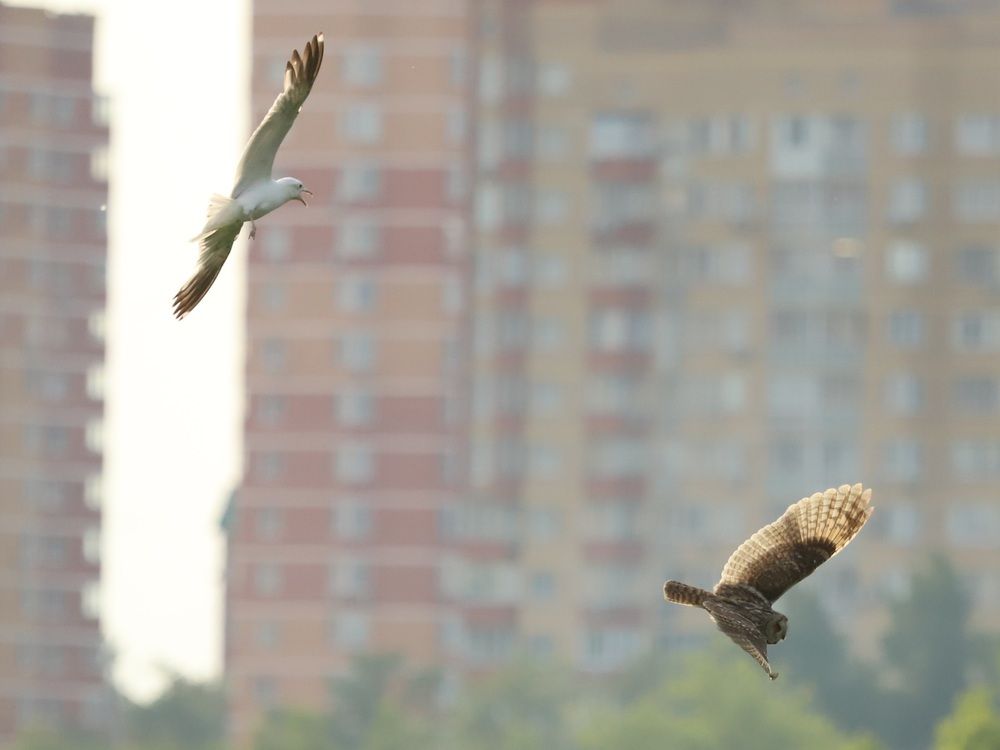 Photograph by Татьяна