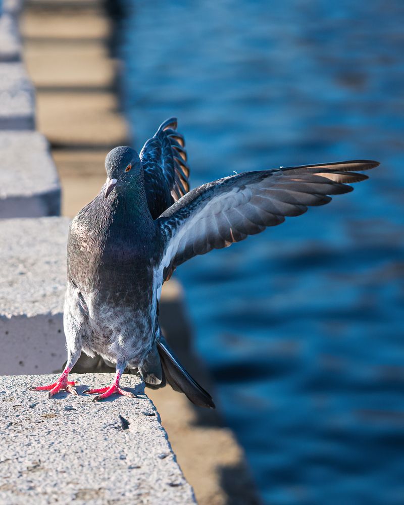 Photograph by Nikita Mirukov