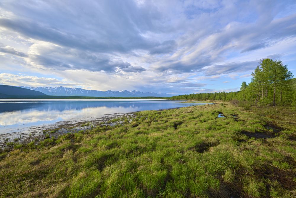 Photograph by Сергей Навроцкий