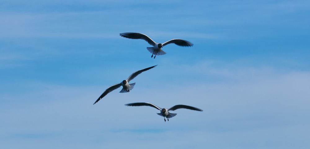Photograph by Дмитрий Сердитов