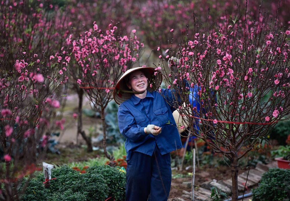 Photograph by Tran Linh