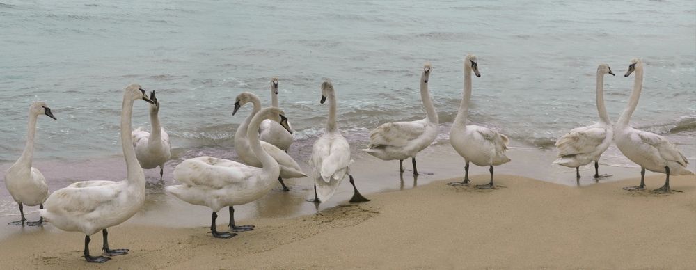 Photograph by Марианна Привроцкая