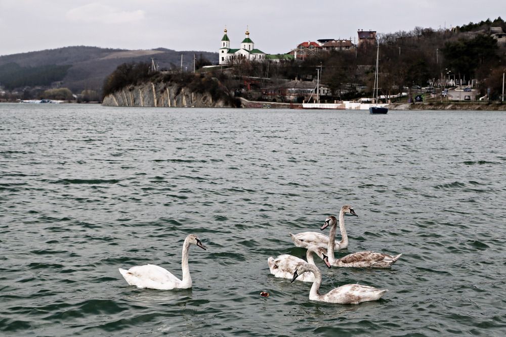 Photograph by Алексей Шалев