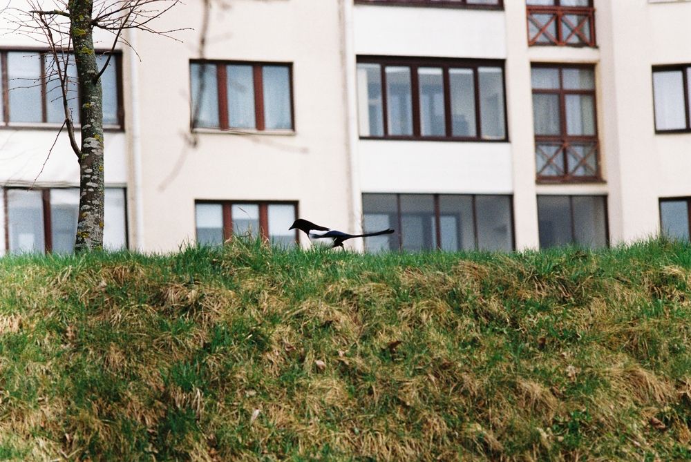 Photograph by Александр Сотниченко