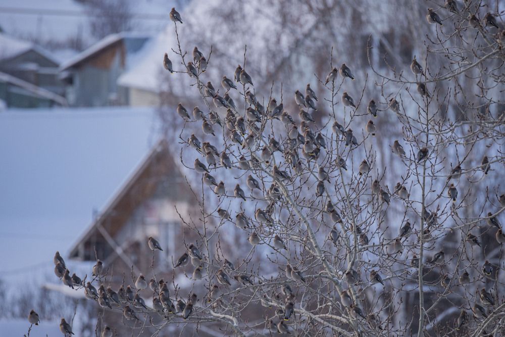 Photo #13700557