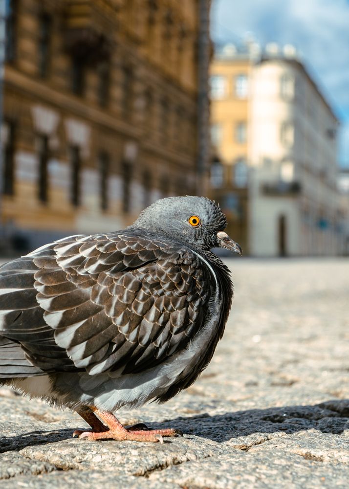Photograph by Алекс Волк