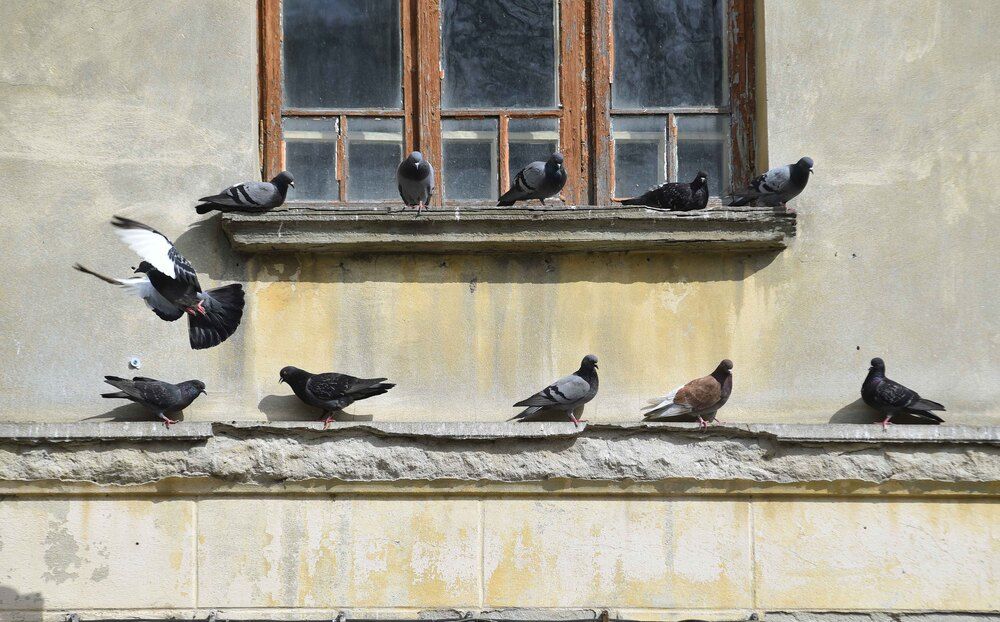 Photograph by Alexandra Ivanova